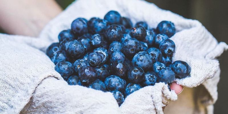 Blueberries