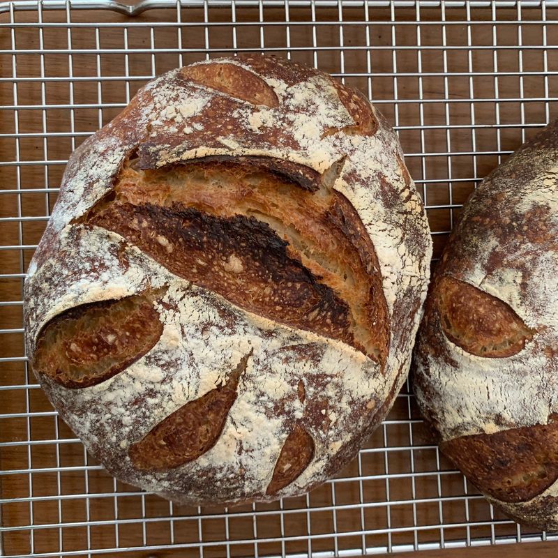 San Francisco Sourdough