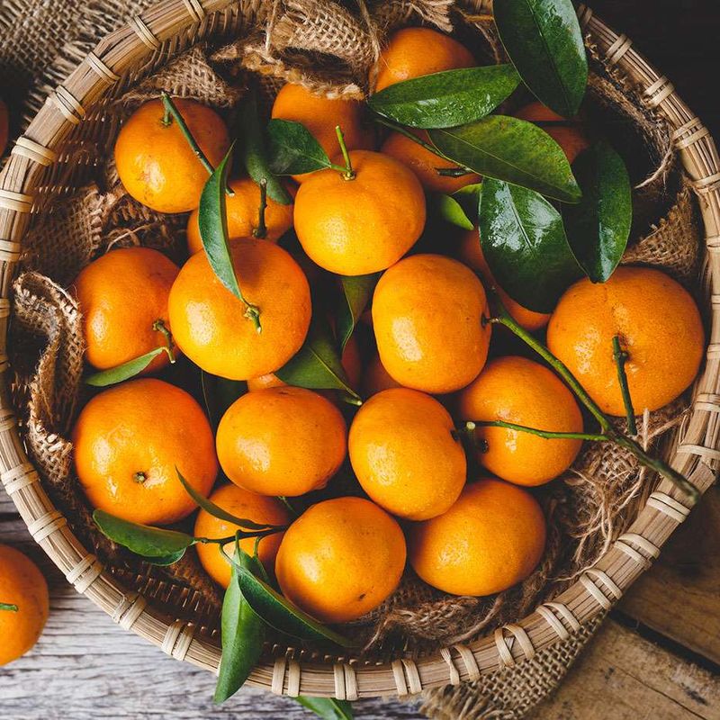 Oranges: The Classic Standby