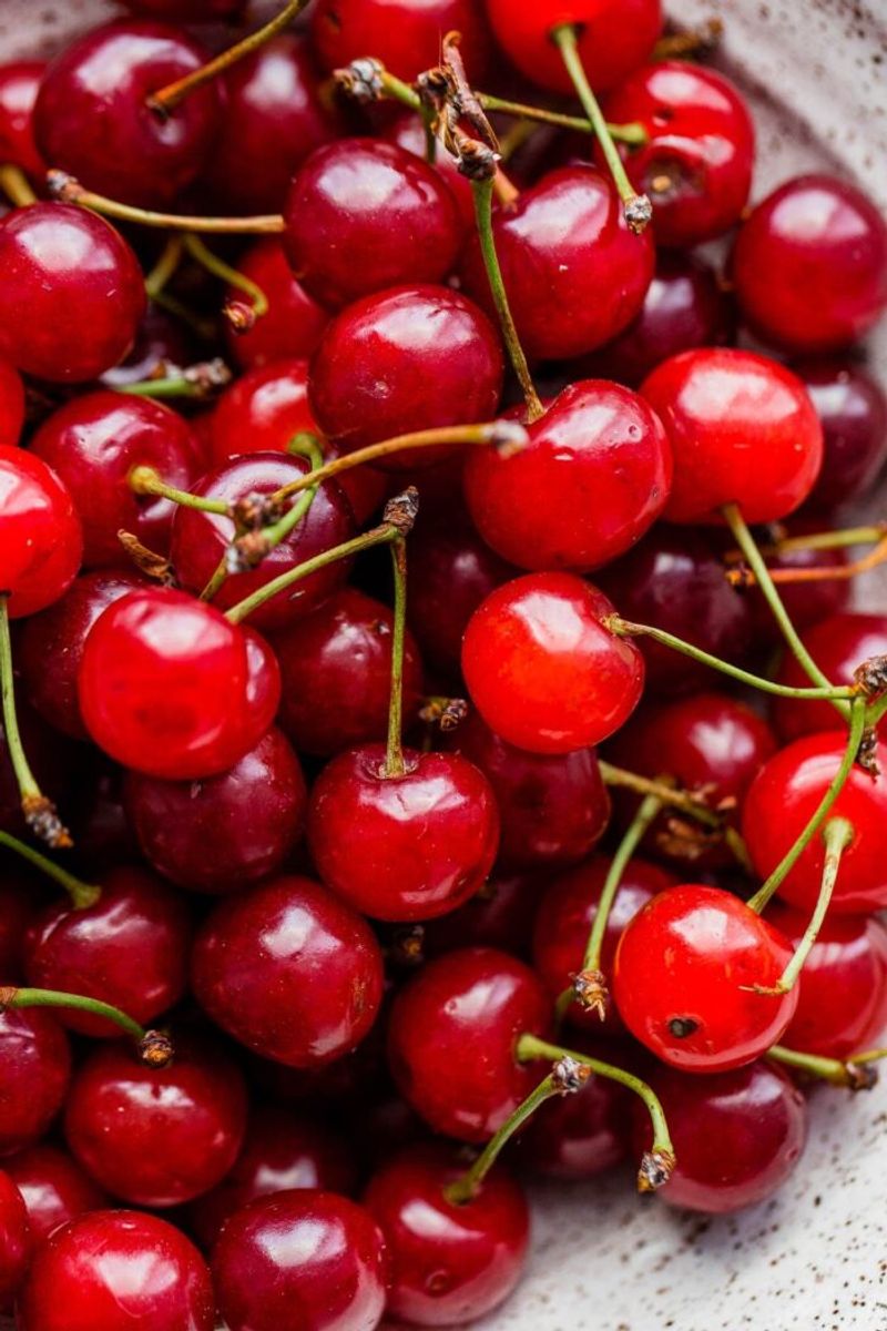 Sour Cherries: Tart Gems For Culinary Magic