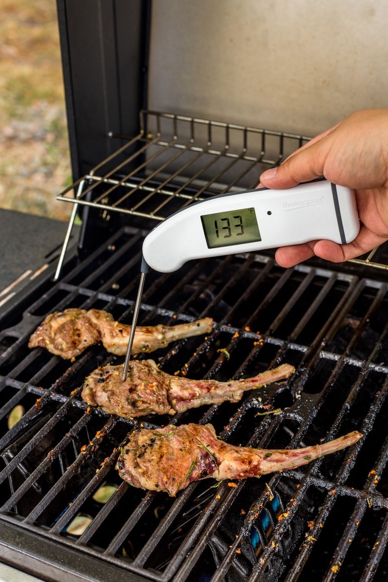 Skipping The Meat Thermometer