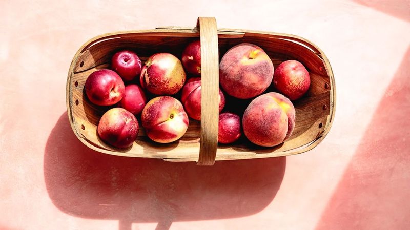 Nectarines Vs. Peaches