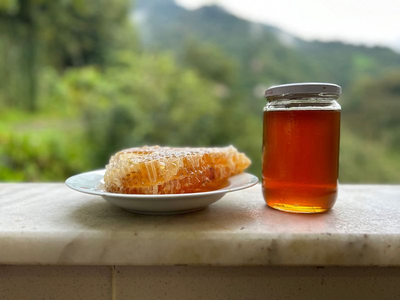Rhododendron Honey (