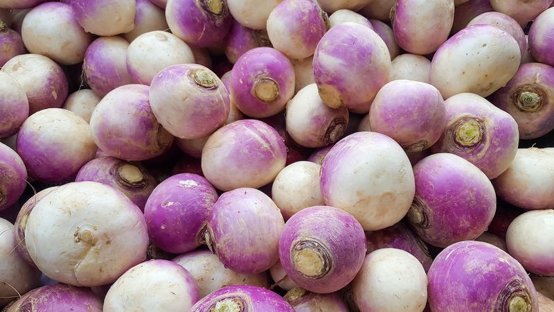 Turnips Vs. Rutabagas