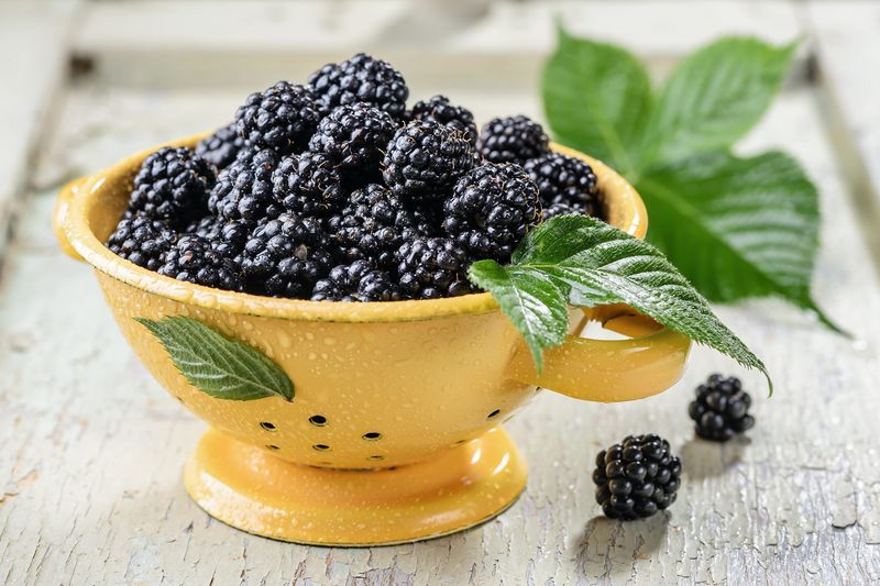 Blackberries