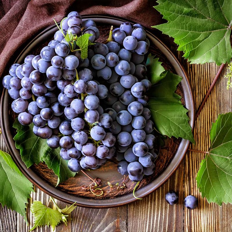 Concord Grapes