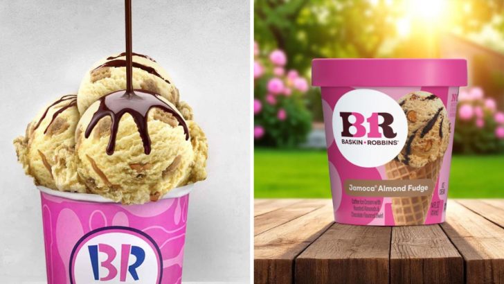 Ranking The 10 Worst And 10 Best Baskin-Robbins Flavors