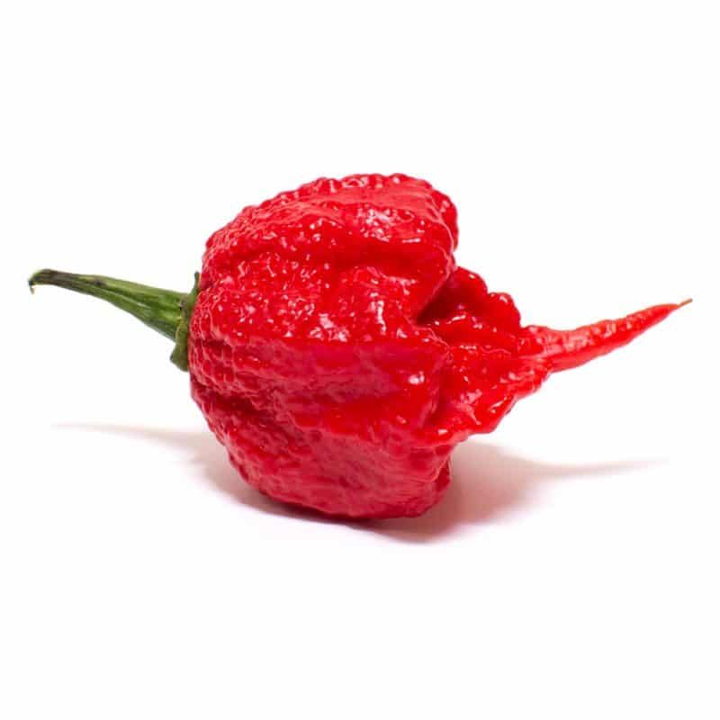 Extremely Hot Peppers