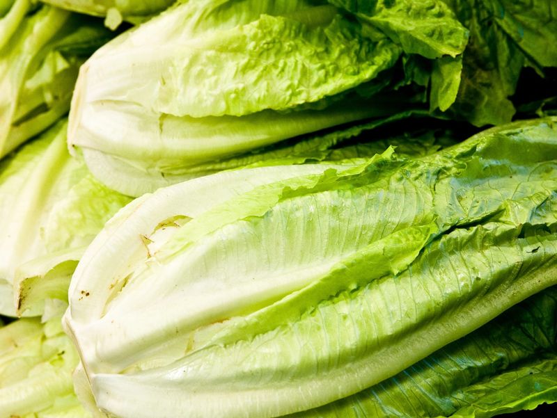 Freshway Foods' Romaine Disaster (2010)