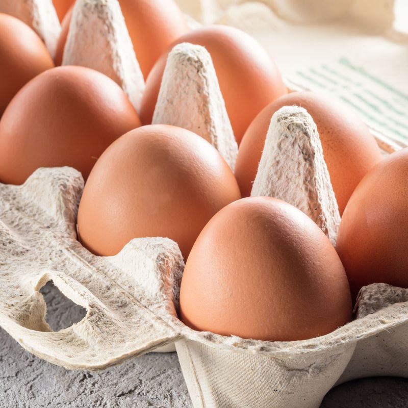 August Egg Company's Salmonella Scare