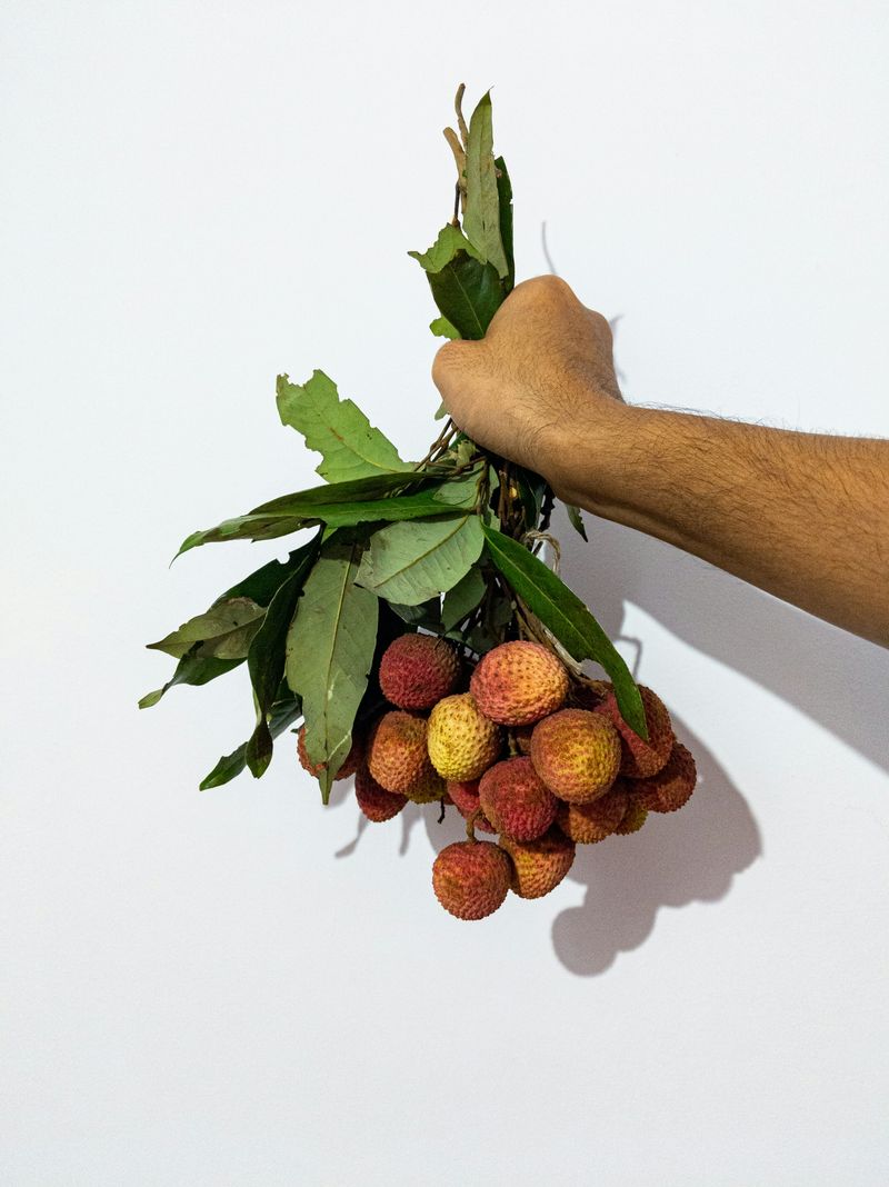 Litchis