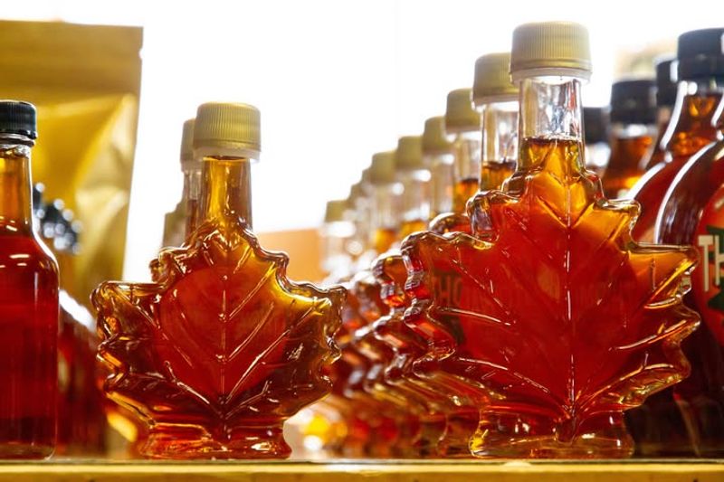 Maple Syrup