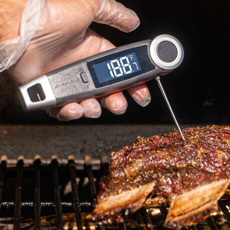 Skipping The Meat Thermometer