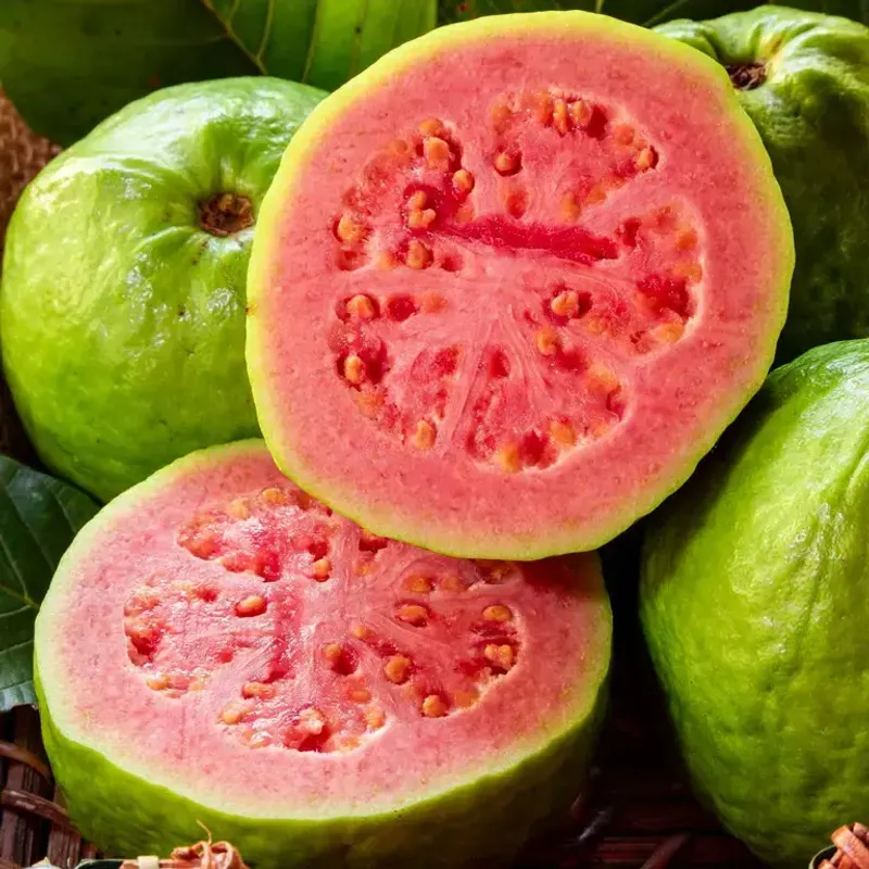 Guava: The Tropical Vitamin Bomb