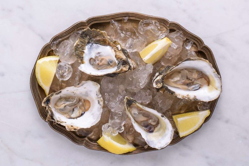 Oysters: Ocean's B12 Bounty