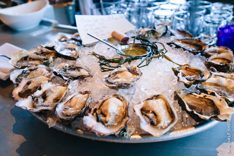 Oysters