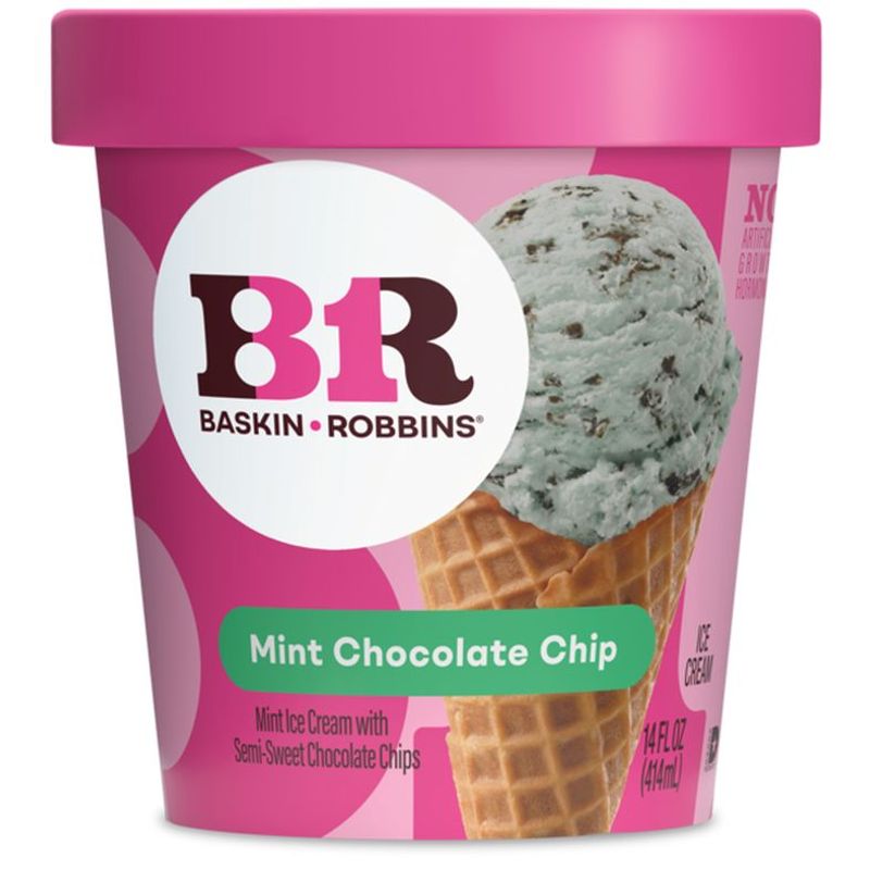 THE BEST #9: Mint Chocolate Chip
