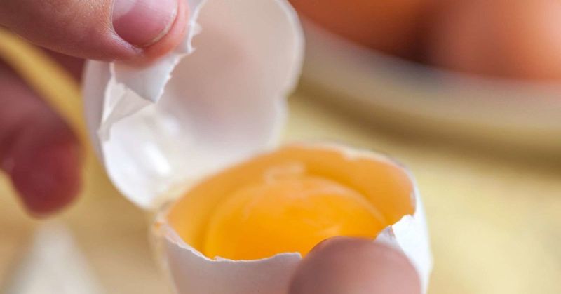 The Egg Yolk And White Provide A Healthy Serving Of Fat And Protein