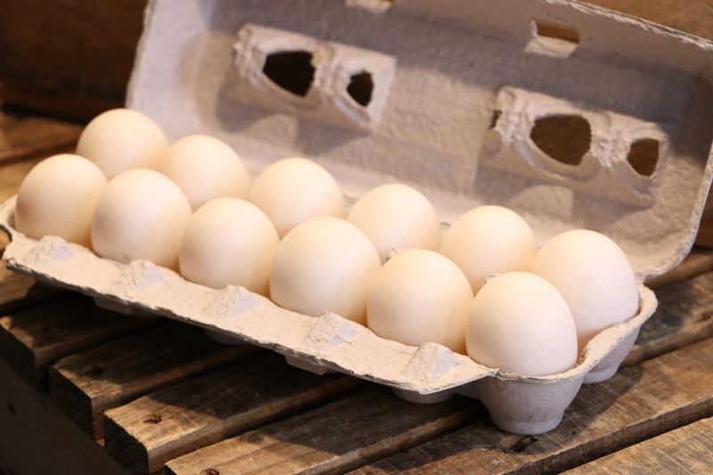Eggs Are Sold In A Dozen For A Reason