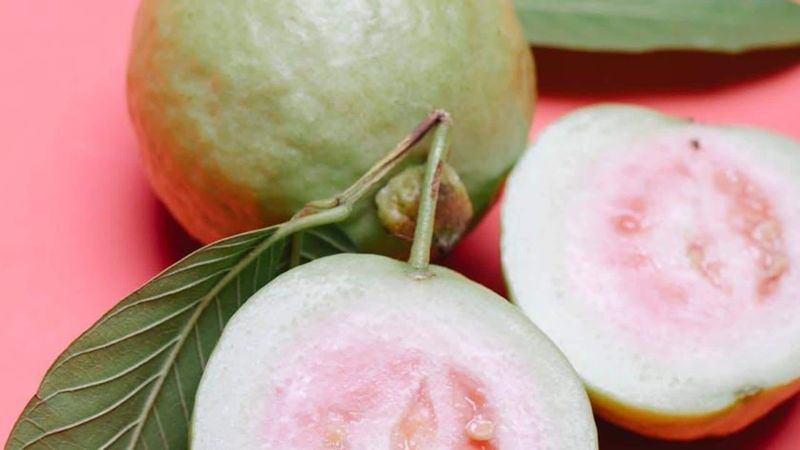 Guava: The Tropical Champion
