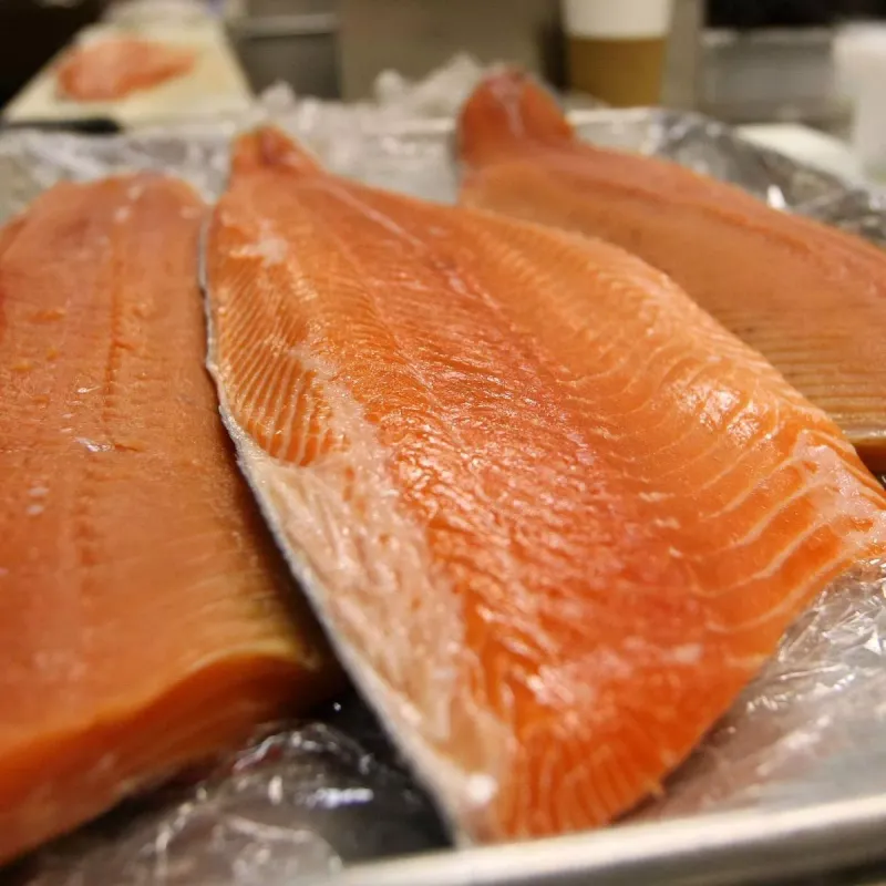 Farmed Salmon With Contaminants