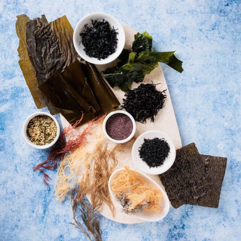 Seaweed Beyond Sushi: Ocean's Versatile Gift