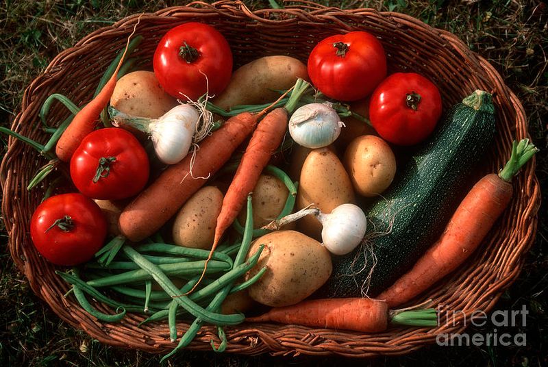 Unwashed Fresh Vegetables