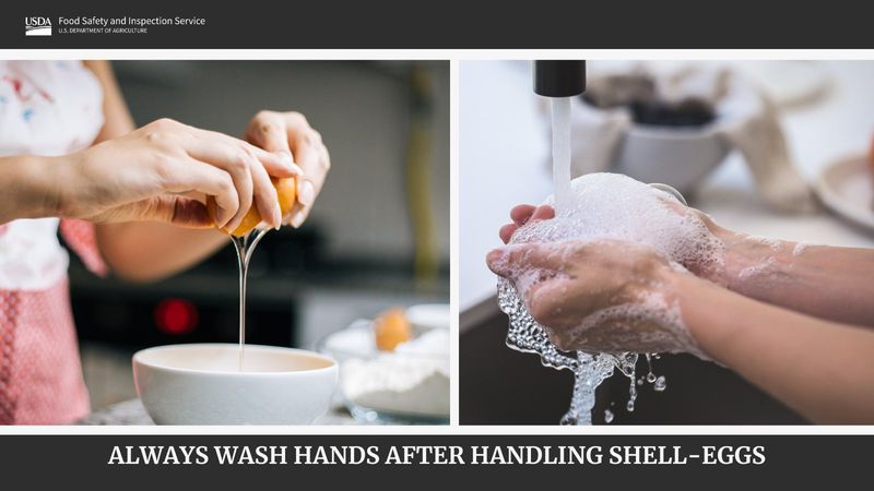 Not Washing Hands After Handling Raw Eggs