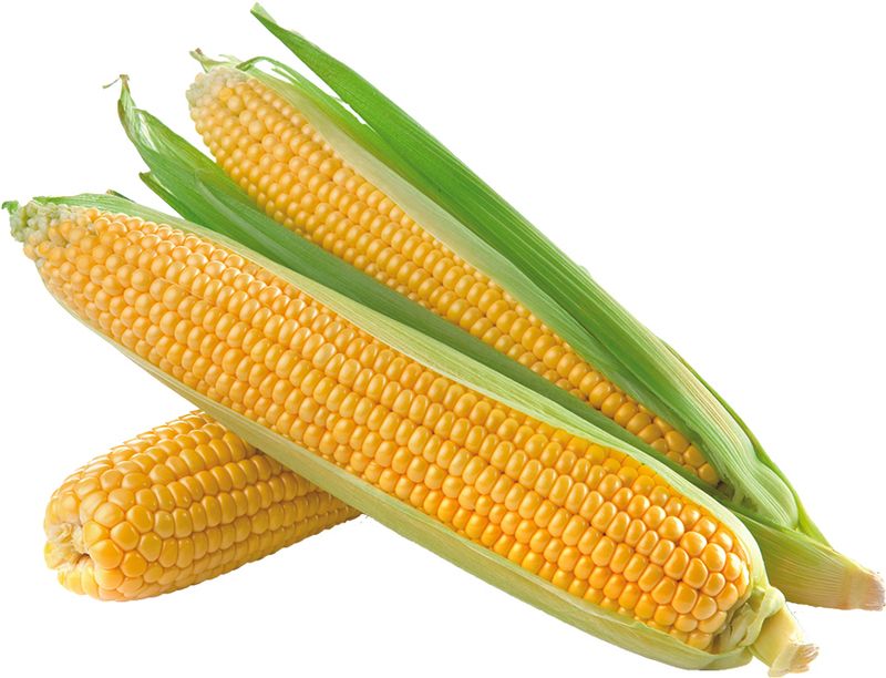 Corn