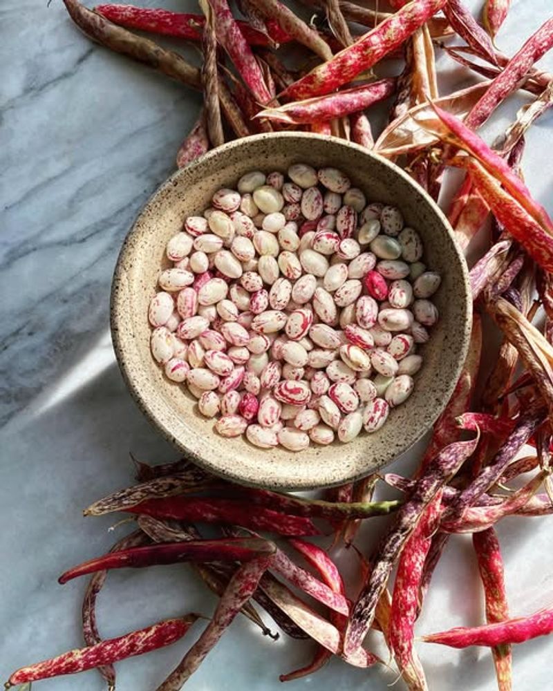 Dried Beans