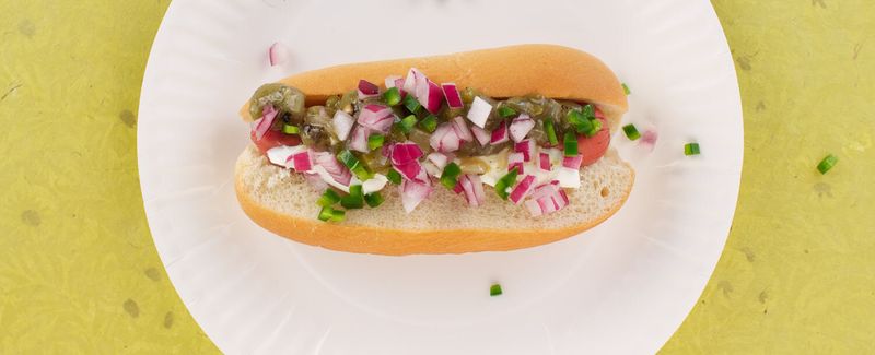 Denver's Mile High Dog
