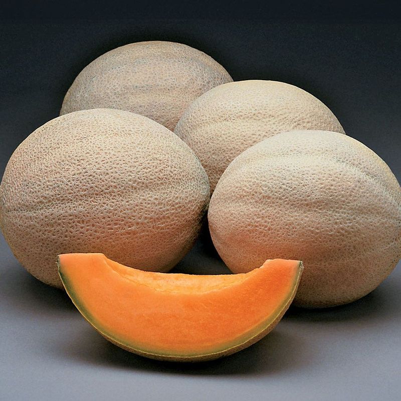 Your Immune System Gets A Vitamin C Boost