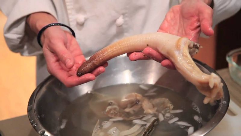 Geoduck Sashimi Or Chowder