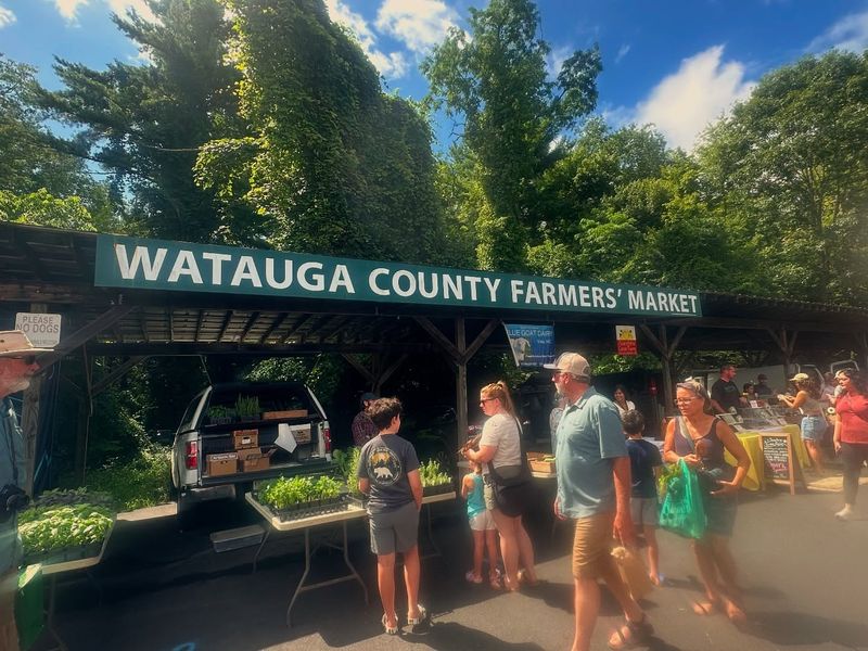 Watauga County Farmers' Market - Boone