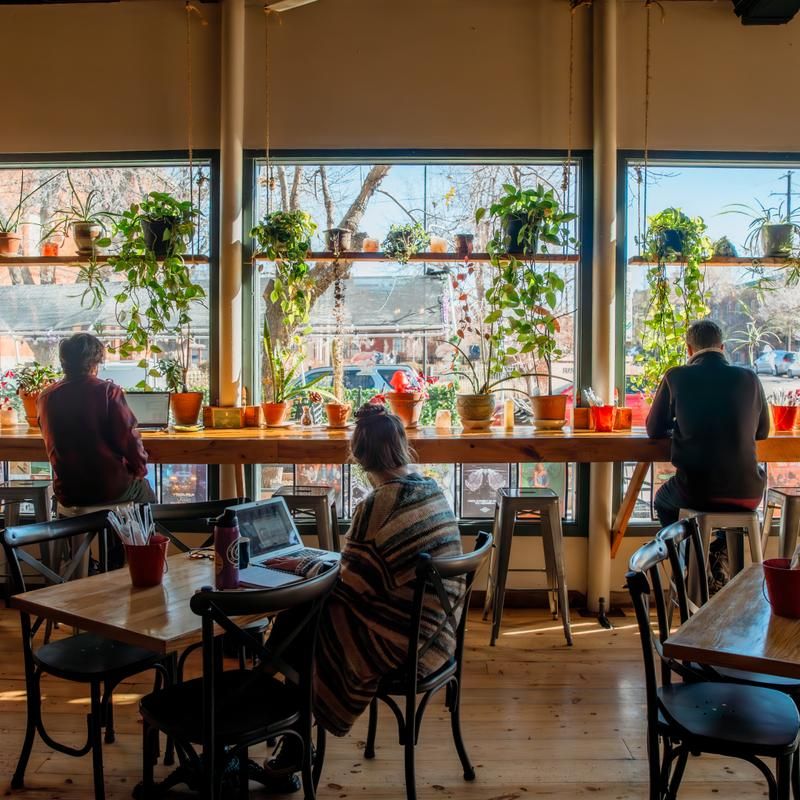 The Corner Beet – 1401 N Ogden St, Denver, CO 80218