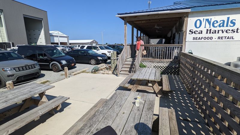 O'Neal's Sea Harvest