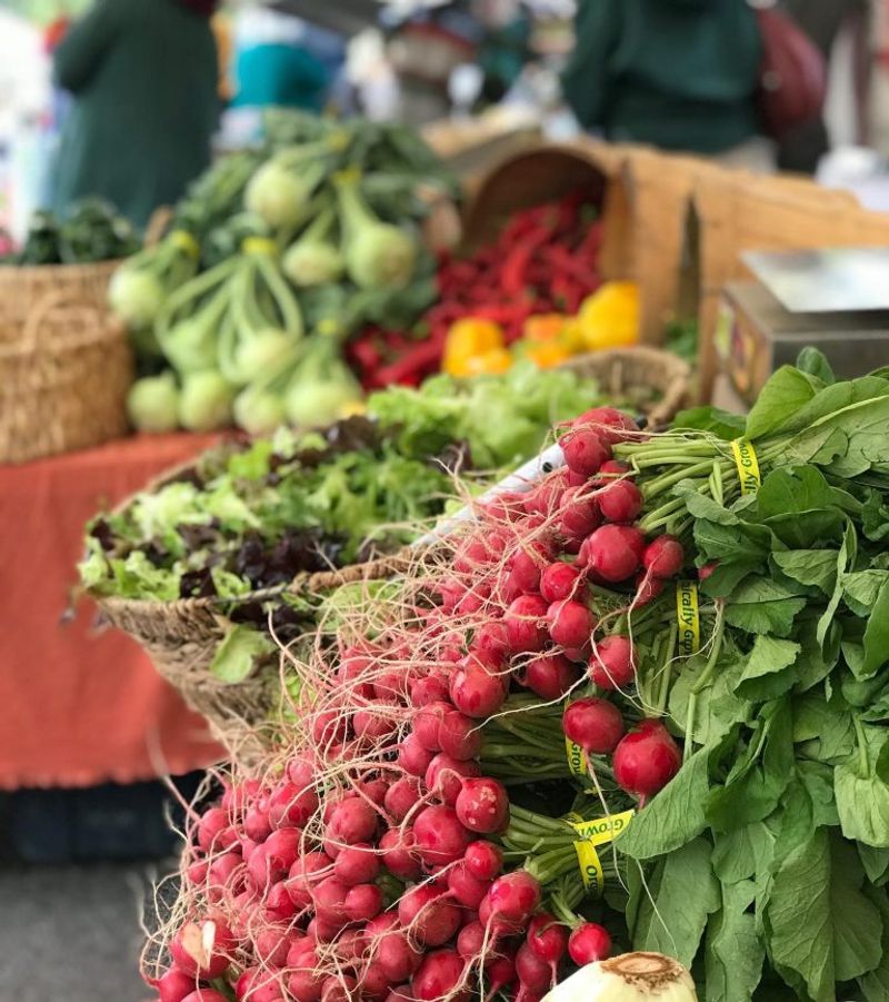 Medford Growers Market