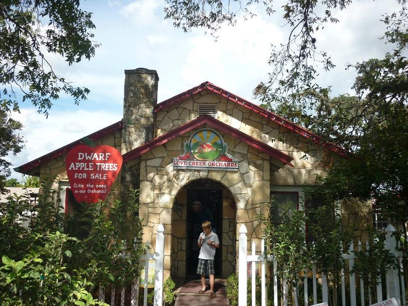 Love Creek Orchards Cafe – Medina