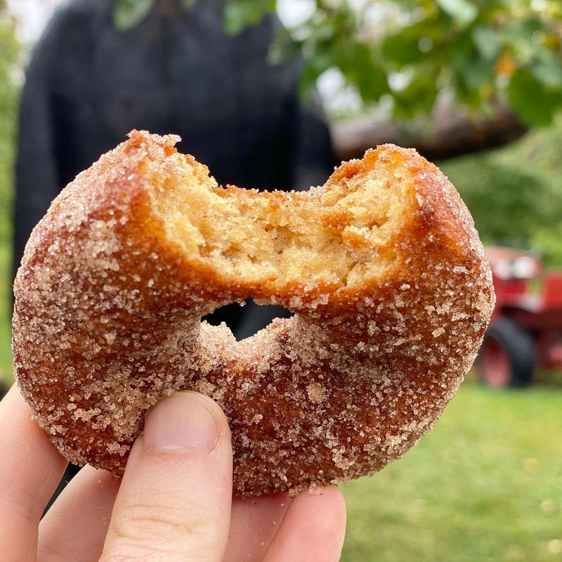 Apple Cider Donuts