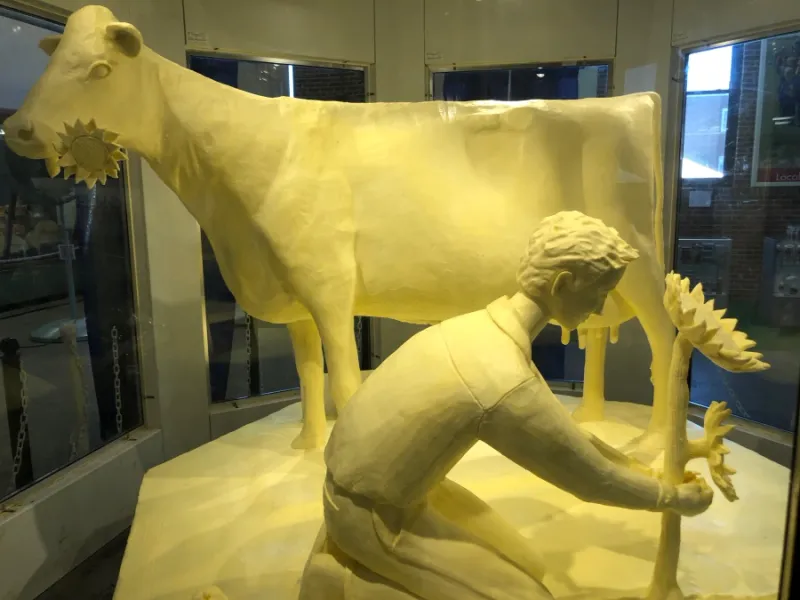Butter Cow (Fair Tradition)