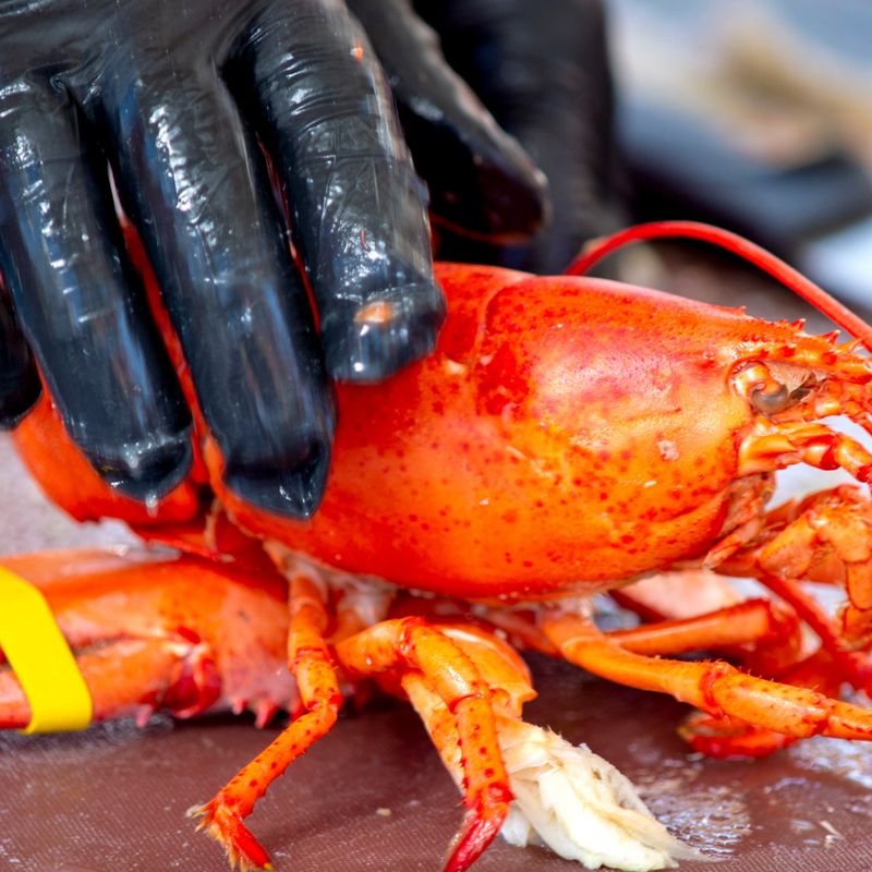 Original Lobster Festival