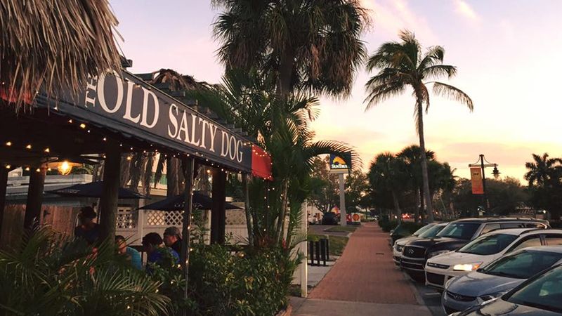 The Old Salty Dog - Sarasota