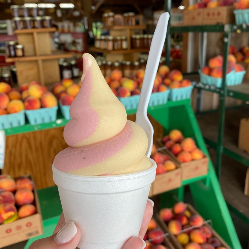 Jaemor Farm Market