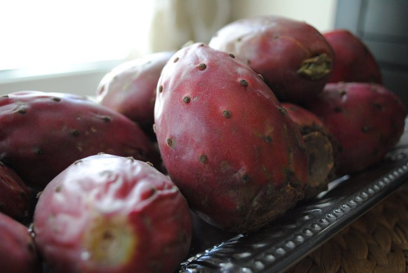 Prickly Pear Everything