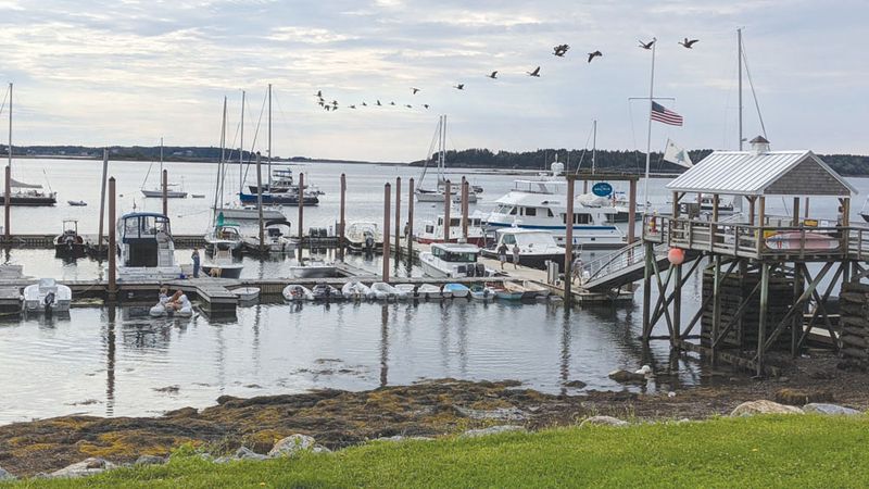 Dolphin Marina & Restaurant – Harpswell