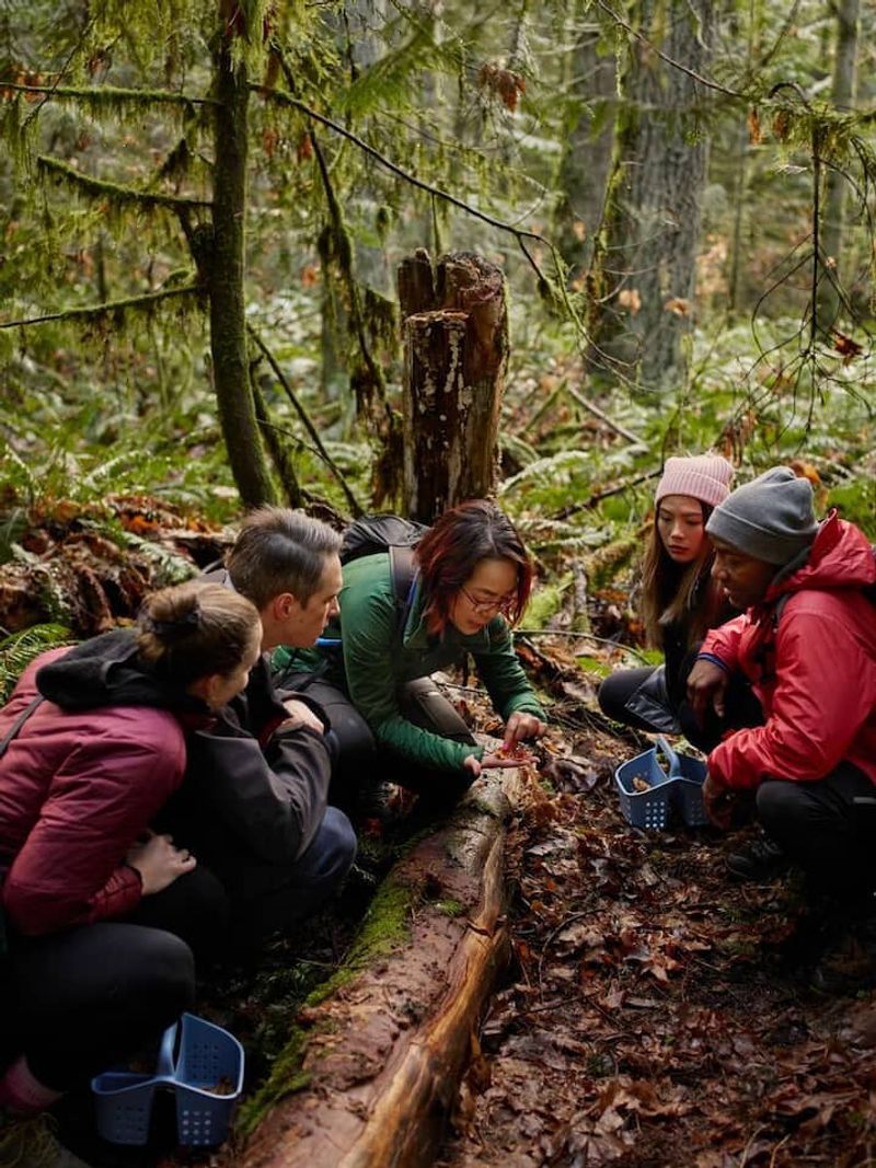 Intro to Mushroom Foraging: Seattle (Airbnb)