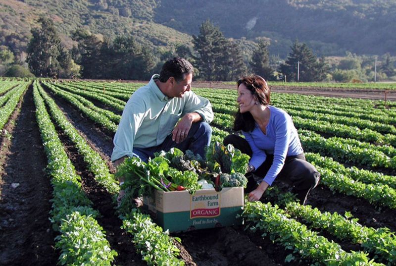 Organic Farming Boom