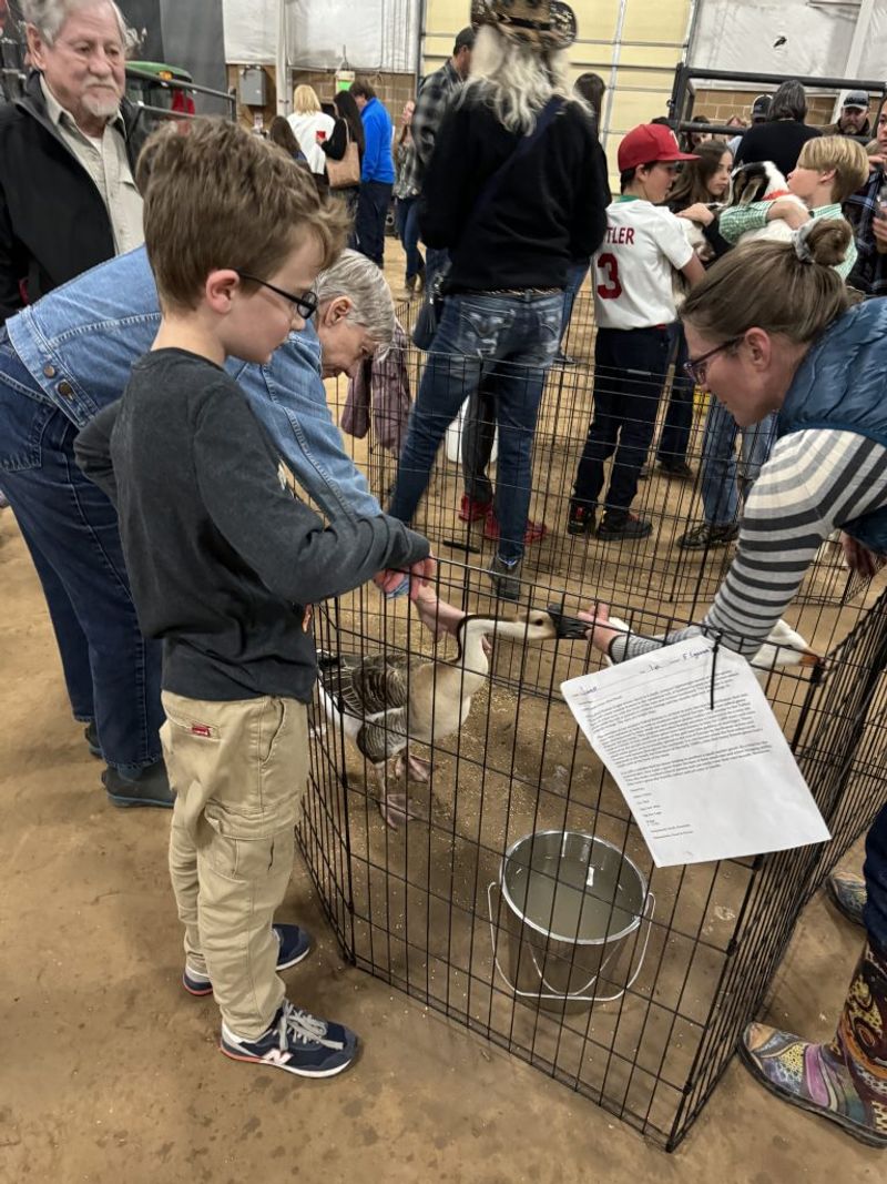 Eagle County 4‑H Oyster Feed