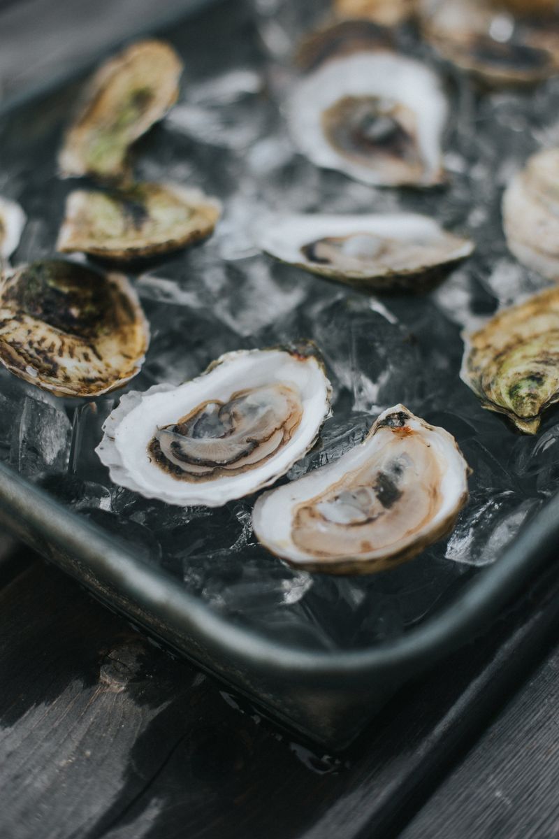 Damariscotta Oysters