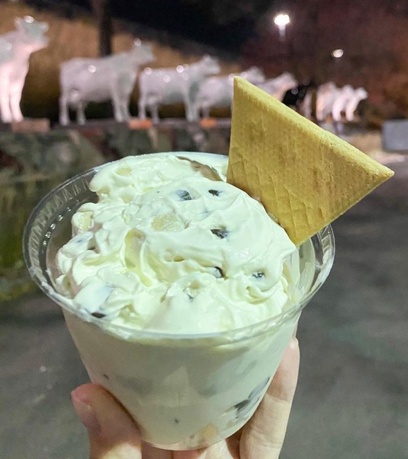 Frozen Custard
